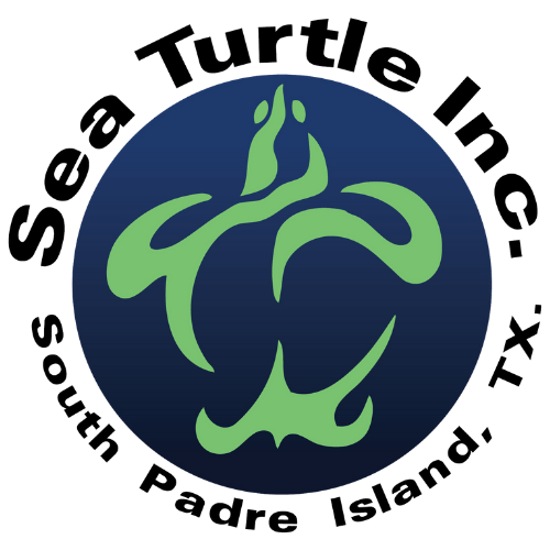 Sea Turtle, Inc – South Padre Island, TX