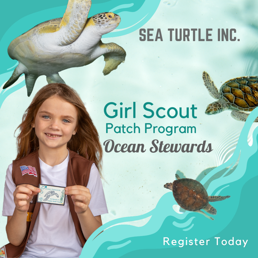 Girl Scout Program Sea Turtle Inc