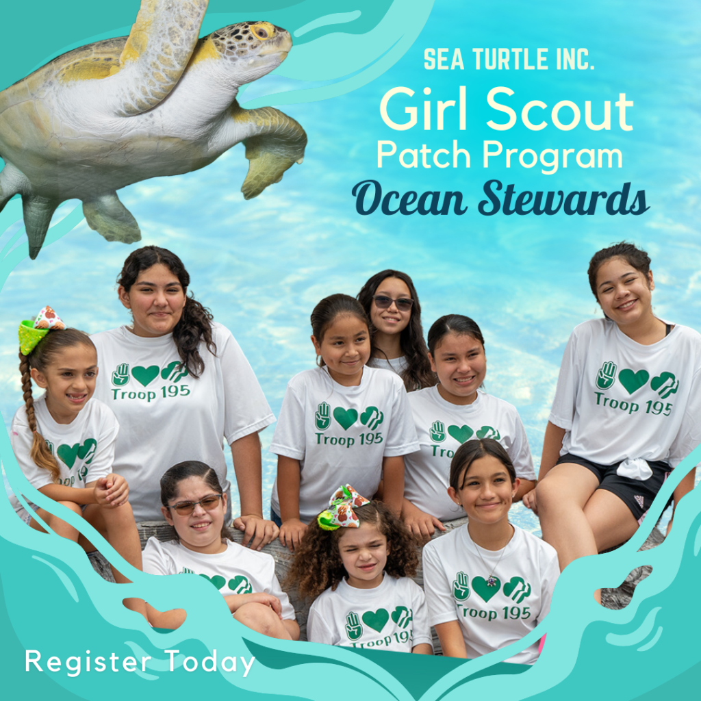 Sea Turtle Inc Girl Scouts