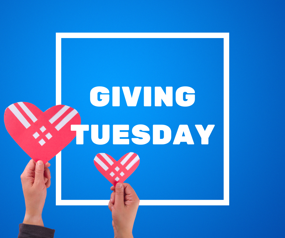 Sea Turtle Inc Giving Tuesday