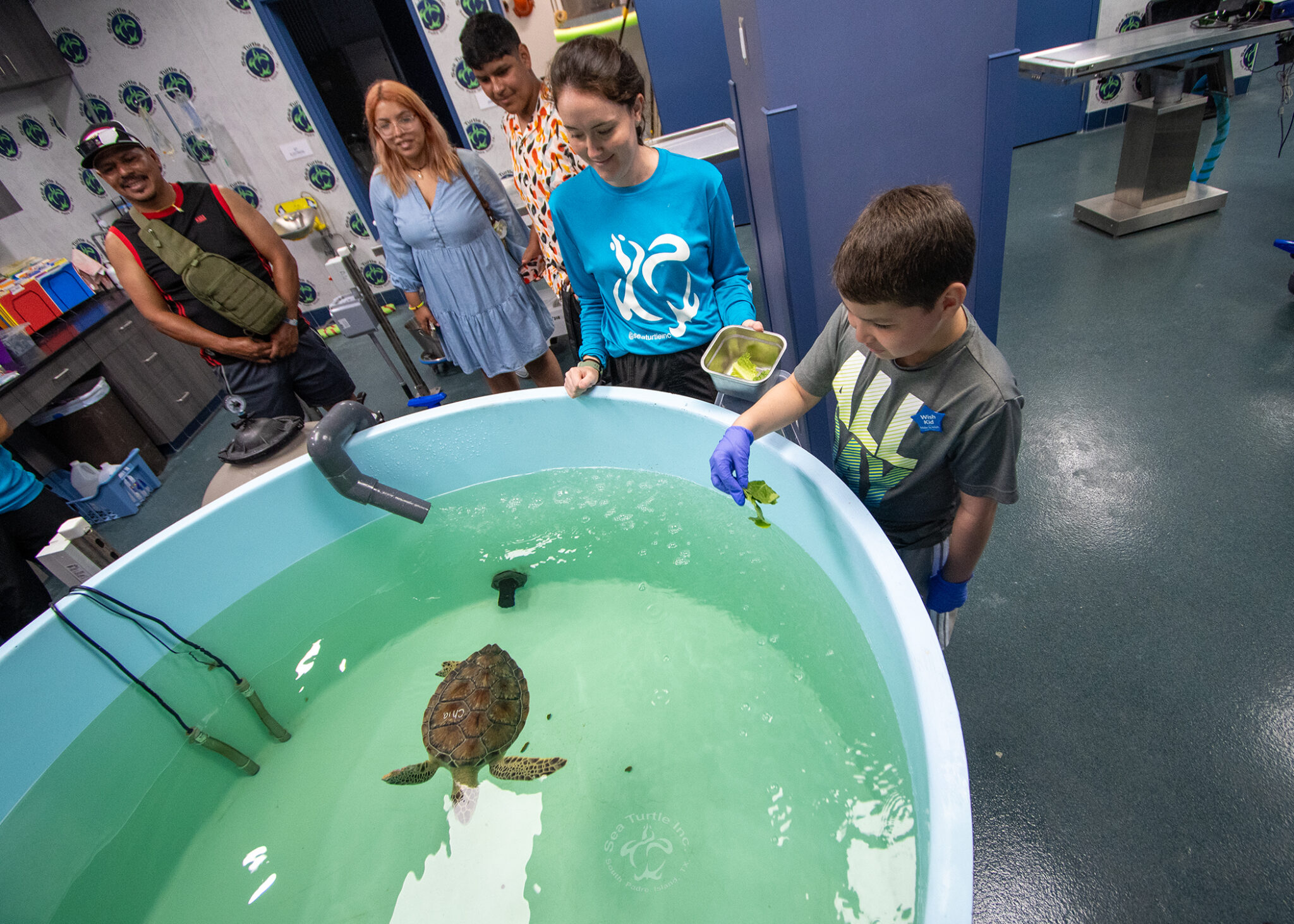 Turtle Inc Host Your Event - Sea Turtle Inc.
