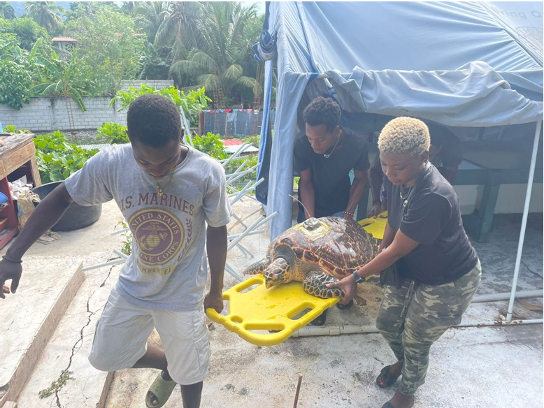 Screenshot 2026-02-20 102144