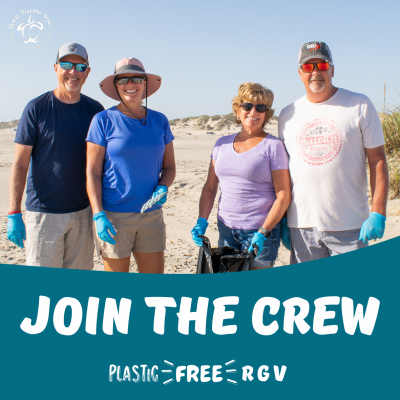 Sea Turtle Inc Beach Clean