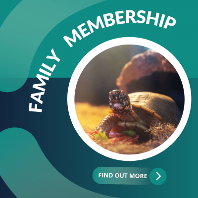 Join Our Tennis Community Join Our Tennis Community
